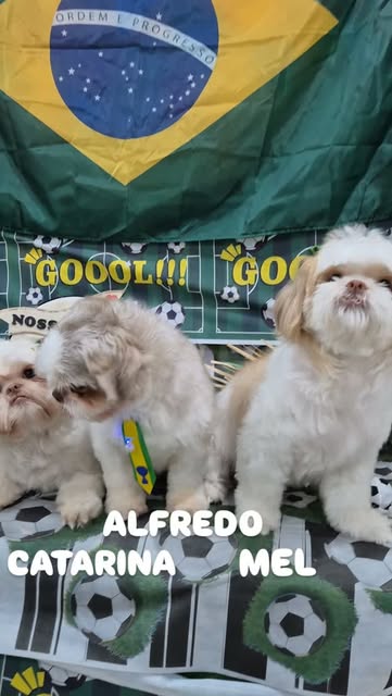 Alfredo, Catarina e Mel em registro publicado pelo Nosso Pet